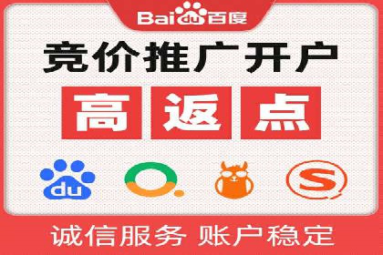 高效SEM托管服务：成功案例深度解析